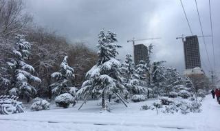 威海暴雪三天三夜 威海暴雪三天三夜