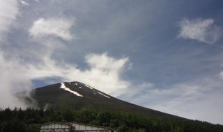 携程怎么了 携程怎么了