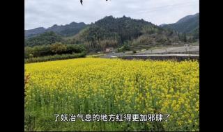 DNF红眼刷真野猪 DNF红眼刷真野猪