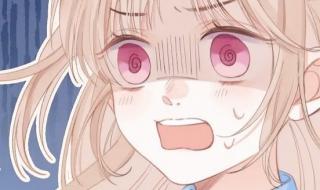 偷偷藏不住动漫