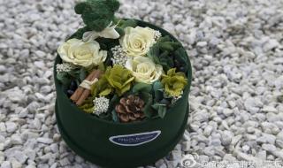 植物学家的女儿高清 植物学家的女儿高清