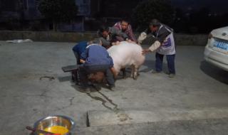 四川回应禁自家杀猪 四川回应禁自家杀猪