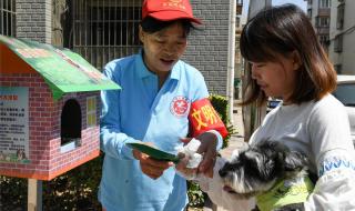 社区禁止养狗引质疑 社区禁止养狗引质疑