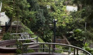 新兴天露山 新兴天露山