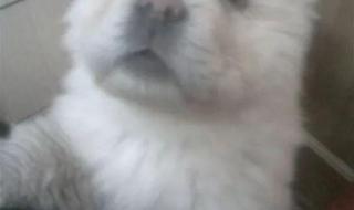 微信号申请 微信号申请