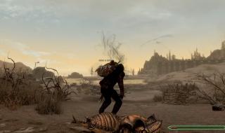 上古卷轴5附魔 上古卷轴5附魔