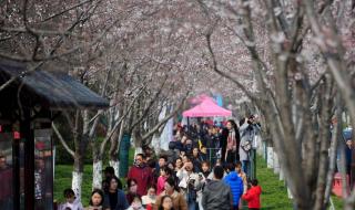 瘦西湖景区管委会 瘦西湖景区管委会